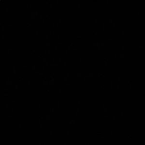 Meet your Posher, Kyleigh